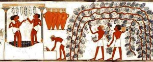 The Wine "process" in ancient art: harvest, pressing, placing in vases 
