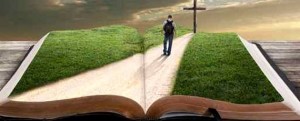 Scripture places us within a Story. We are faithful to God as we live that Story.